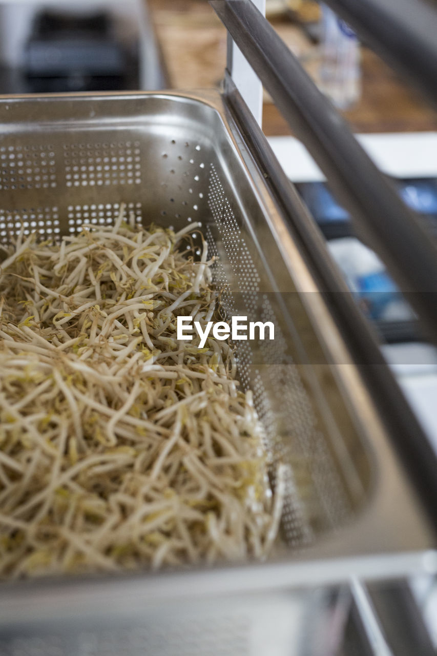 High angle view of bean sprouts in metallic container