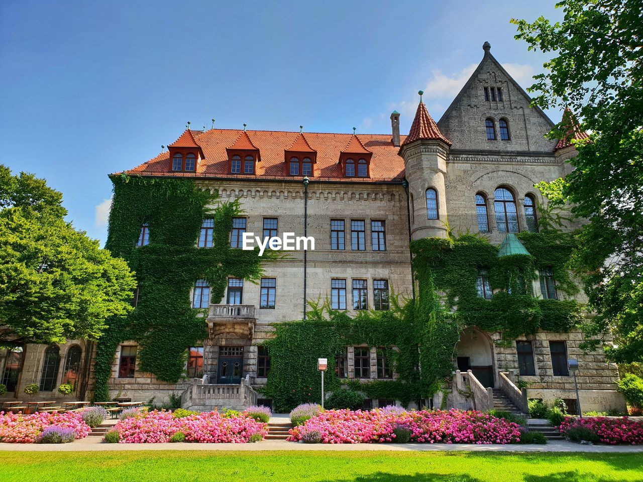 View of house with plants in garden