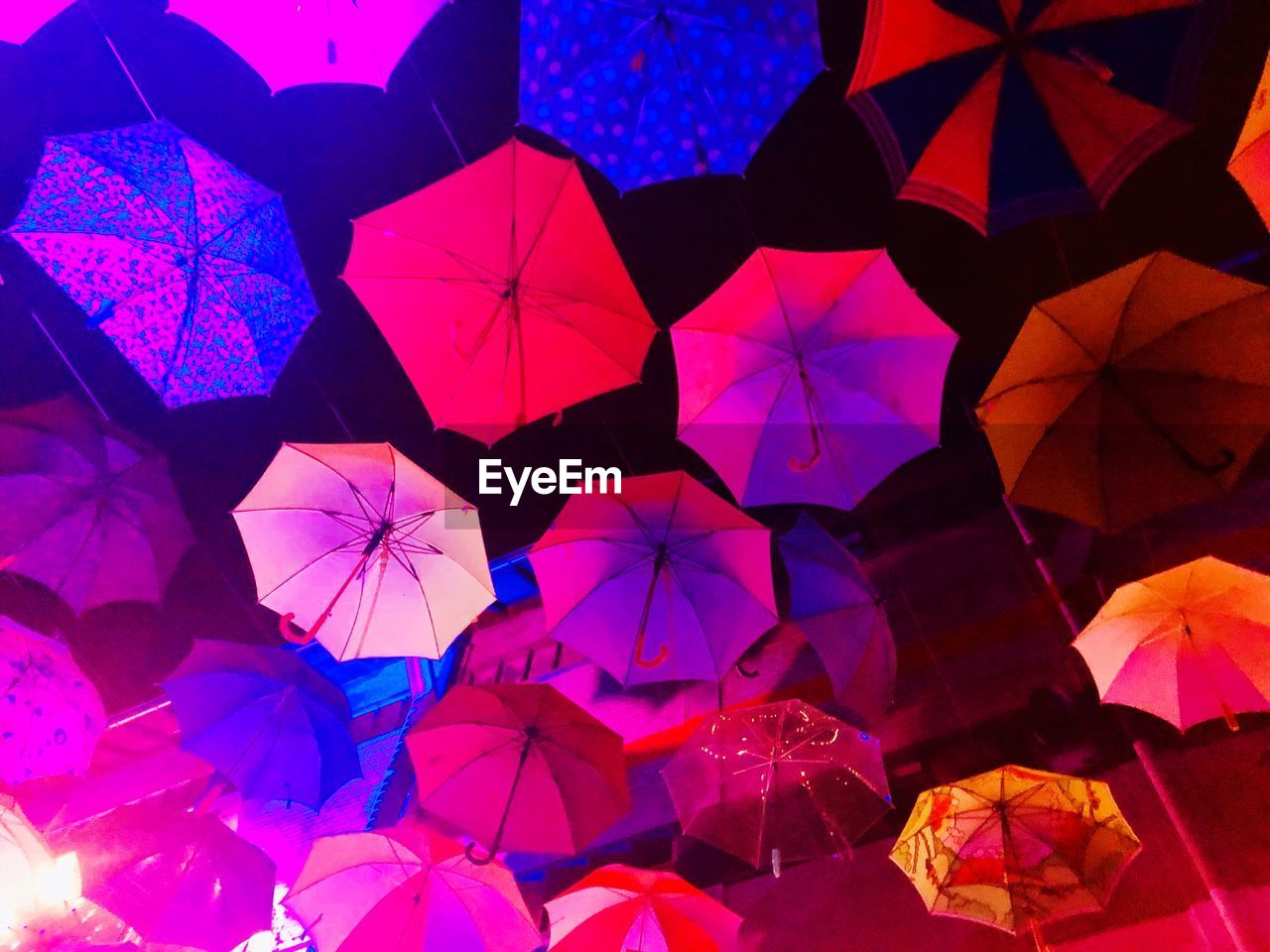 LOW ANGLE VIEW OF MULTI COLORED UMBRELLAS ON PURPLE ROOF