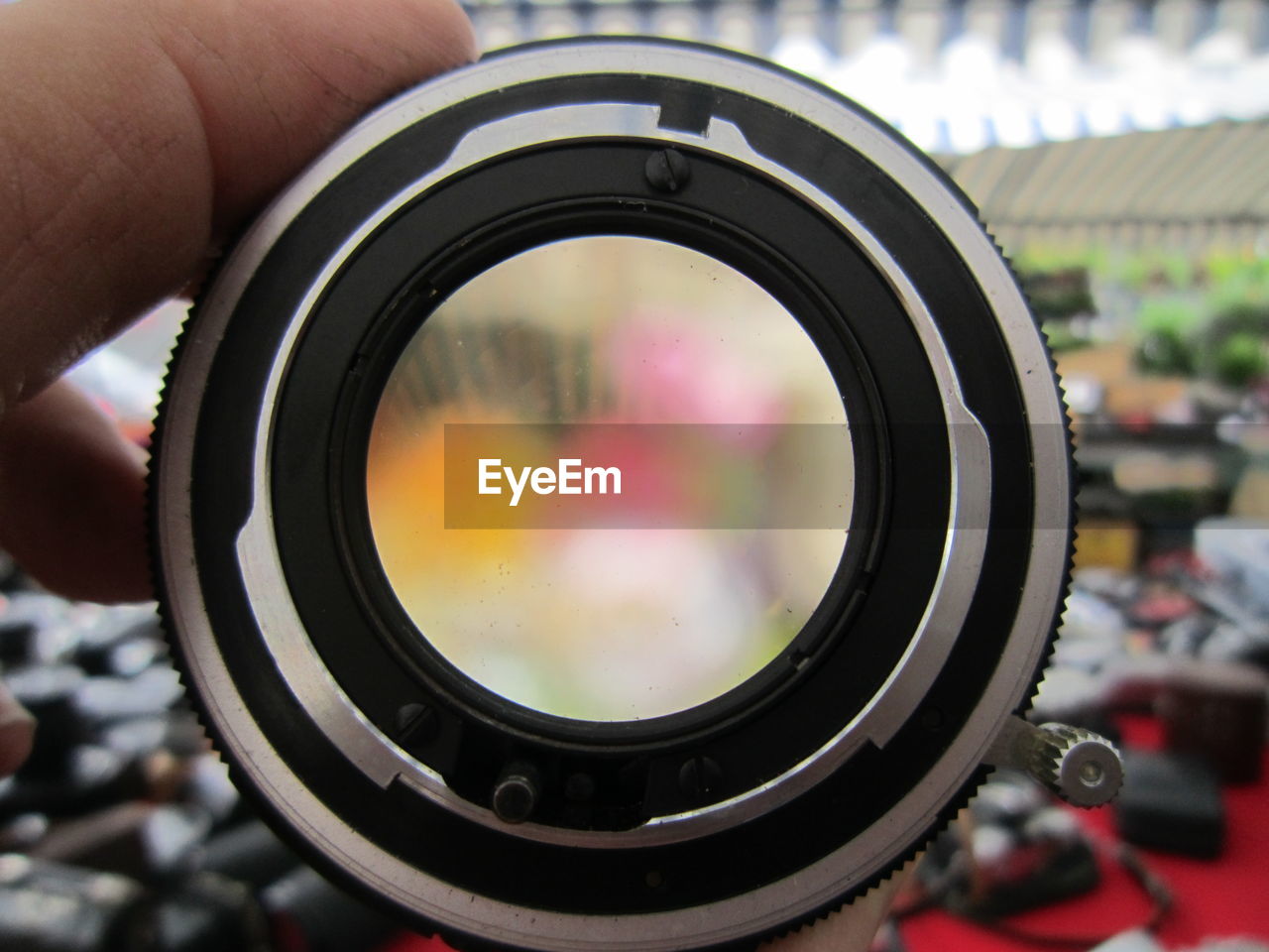 Cropped image of hand holding lens
