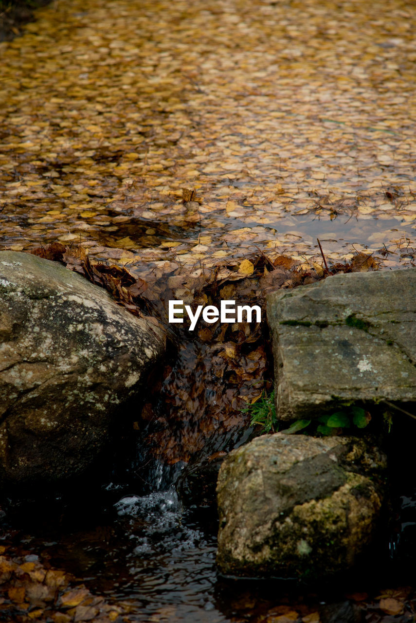 CLOSE-UP OF ROCK BY RIVER