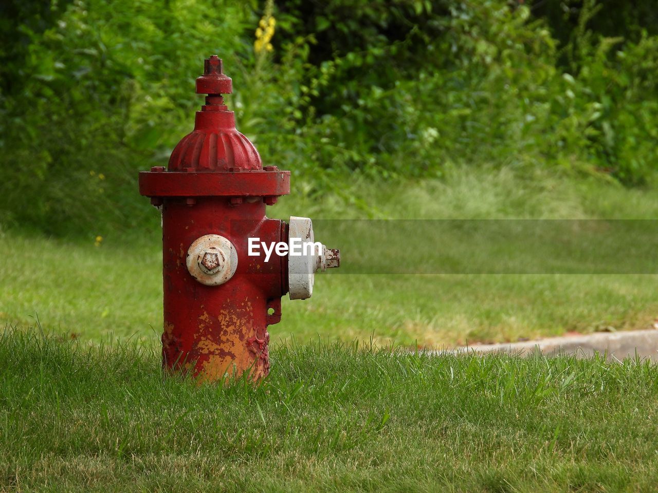 Red fire hydrant on field