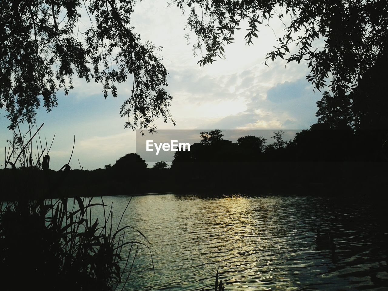 Scenic view of lake at sunset