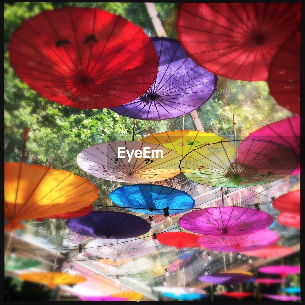 MULTI COLORED FLOWERS IN BACKGROUND