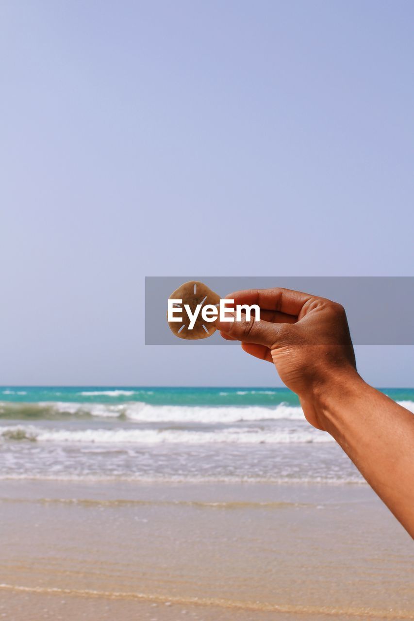 Close-up of hand holding sand dollar at beach against clear sky
