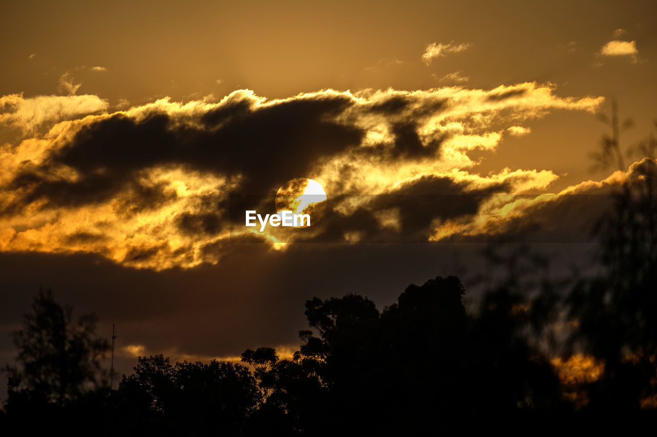 Low angle view of silhouette trees against sky