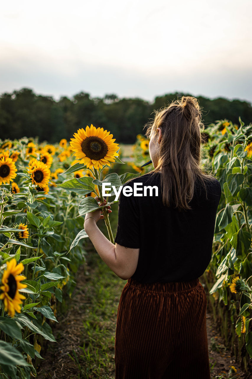Rear view of young woman holding sunflower while standing outdoors