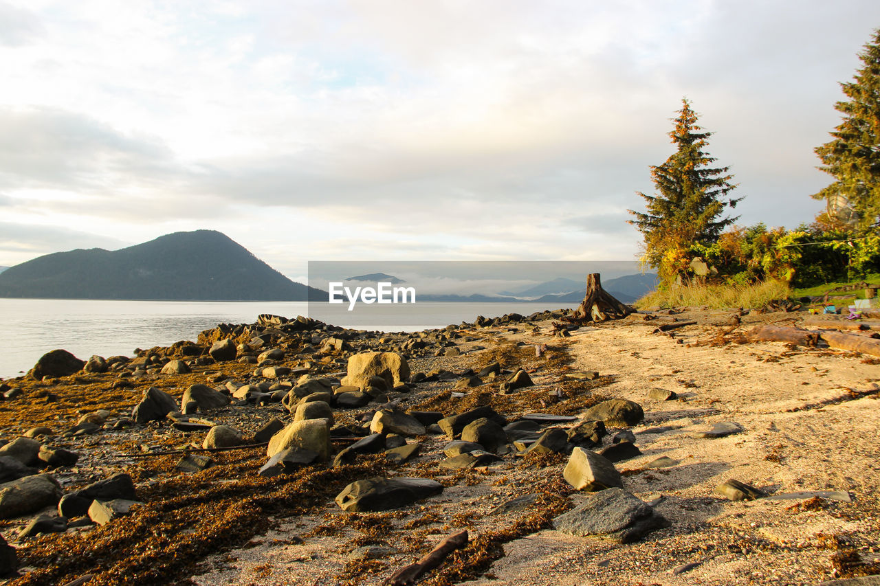 PANORAMIC VIEW OF BEACH AGAINST SKY