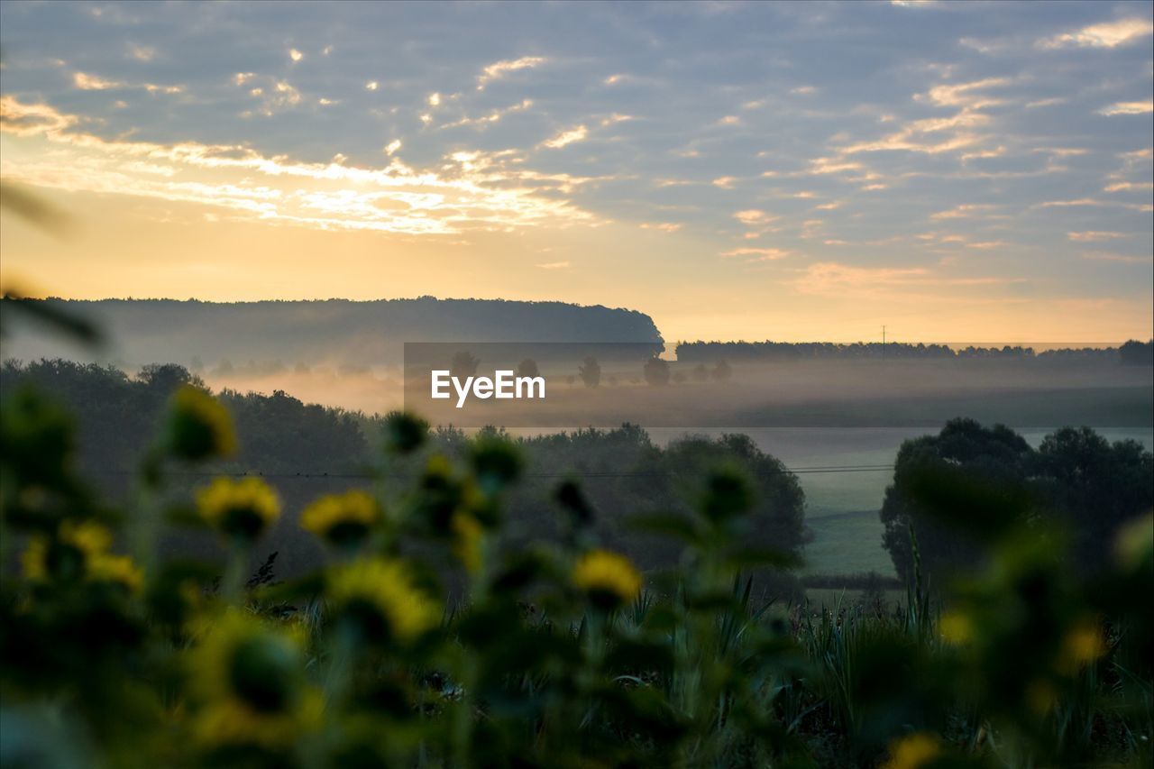 Scenic view of landscape against sunset sky