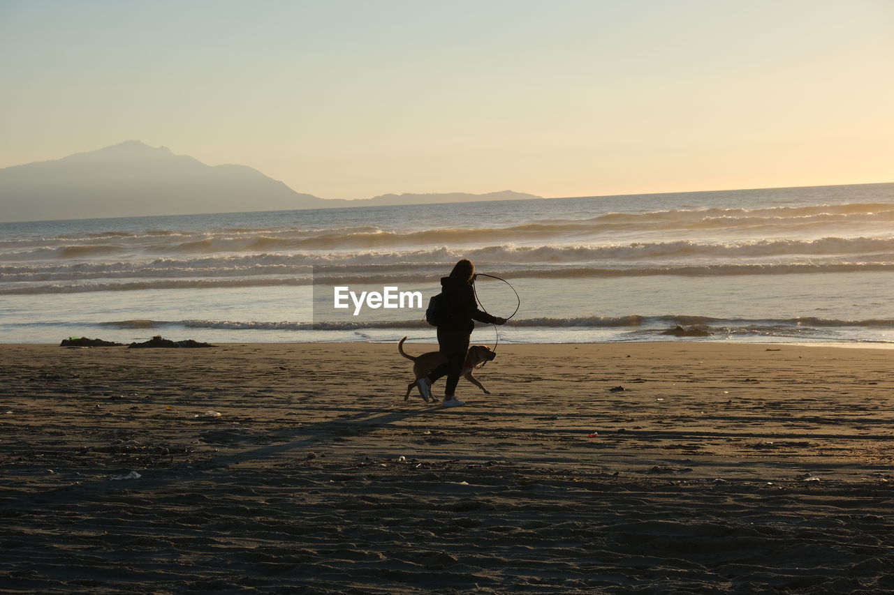 Silhouette girl and dog on beach against sky