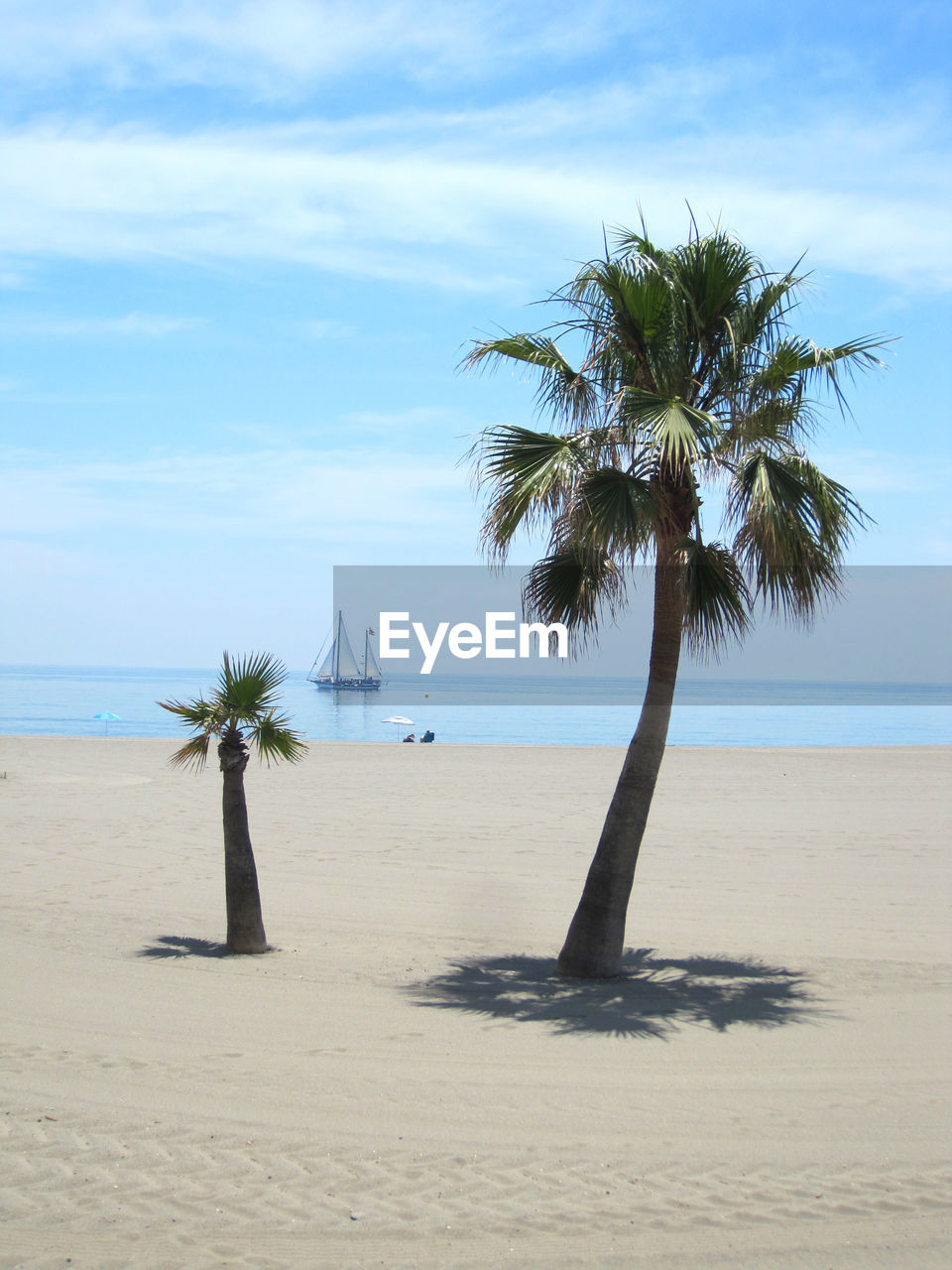 Palm trees on beach against sky