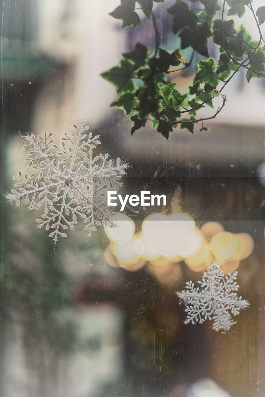 CLOSE-UP OF SNOW ON GLASS WINDOW WITH VIEW OF CHRISTMAS LIGHTS