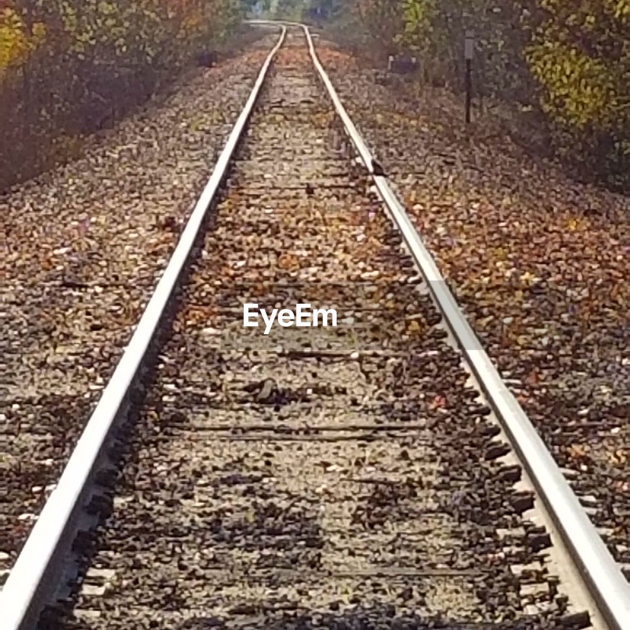 HIGH ANGLE VIEW OF RAILROAD TRACKS AMIDST TRACK