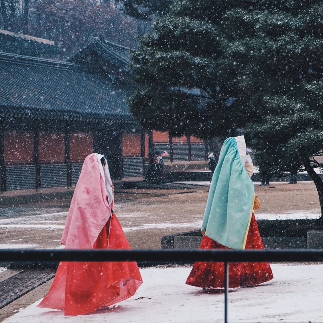 Girls wearing hanboks while walking on field during winter