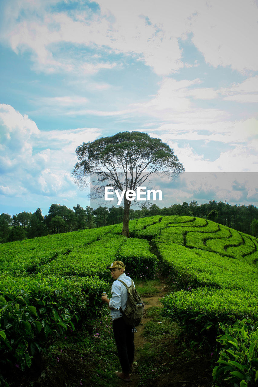 Side view of man standing at tea plantation against cloudy sky