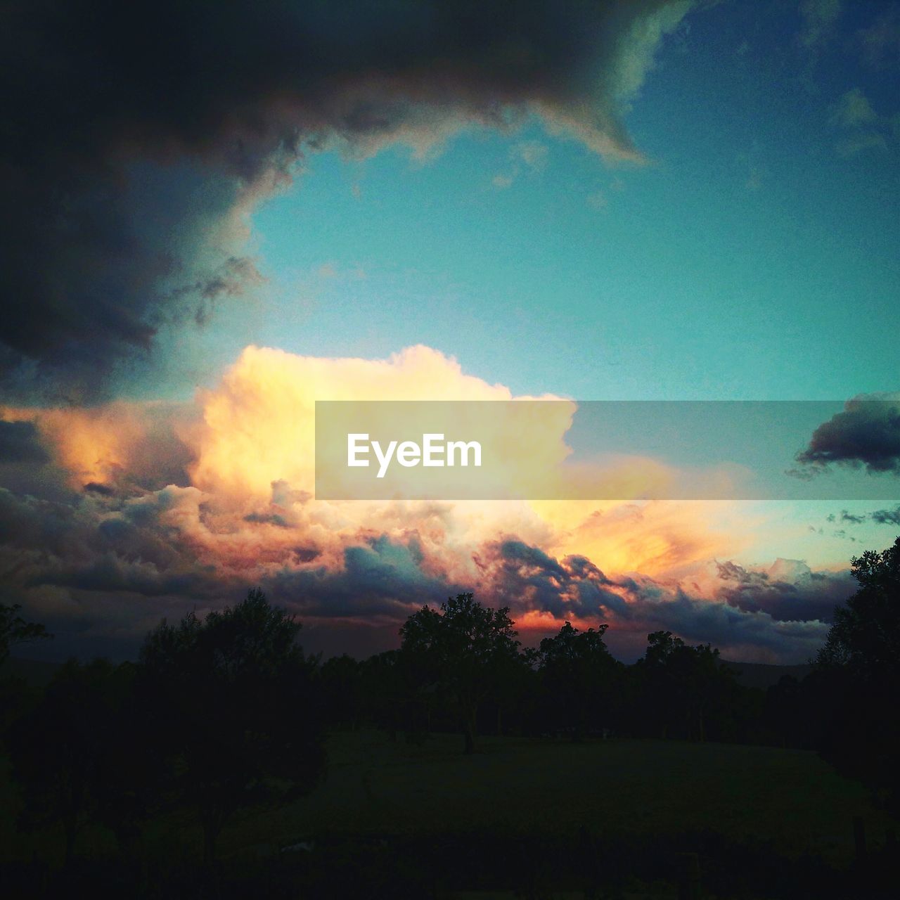 Silhouette of tree against dramatic sky