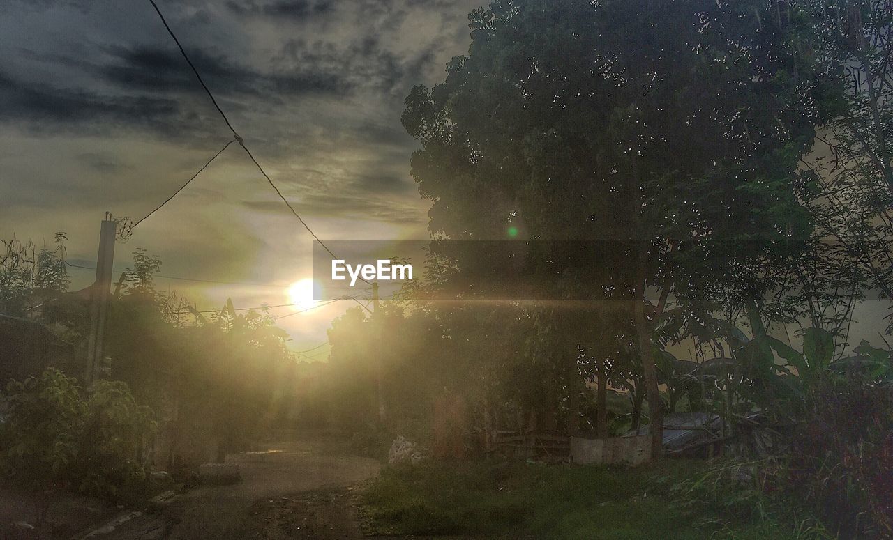 VIEW OF TREES AGAINST SKY DURING SUNSET