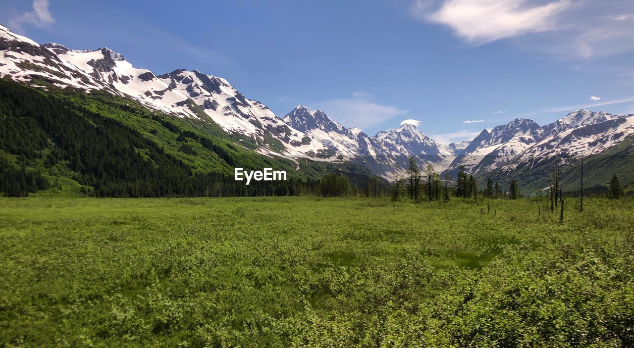 Scenic view of field and mountains against sky