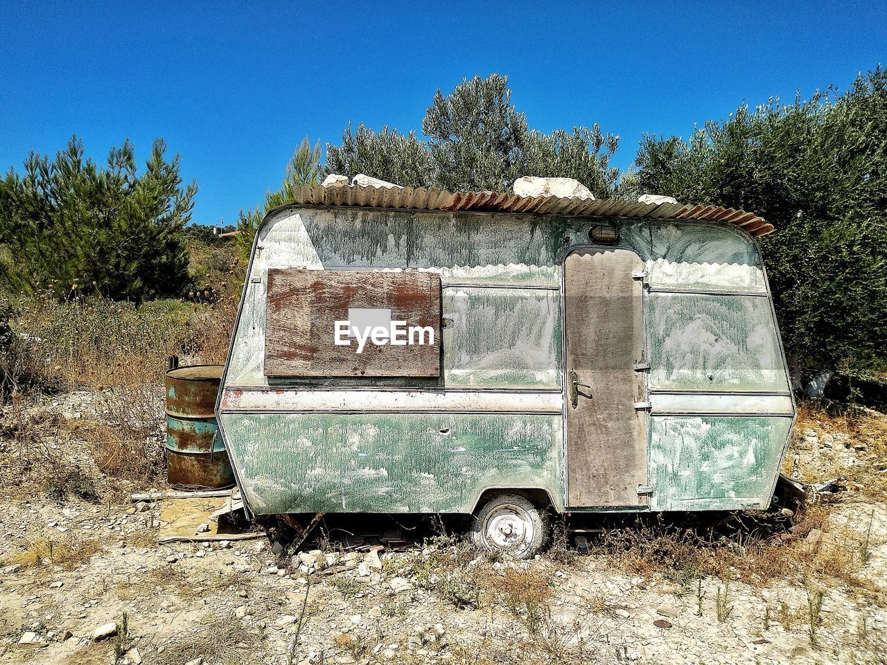 ABANDONED CAR ON FIELD AGAINST TREES