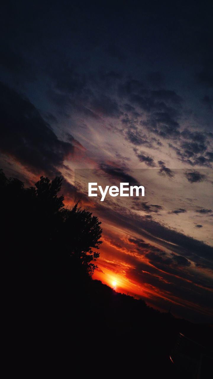 Low angle view of silhouette trees against orange sky