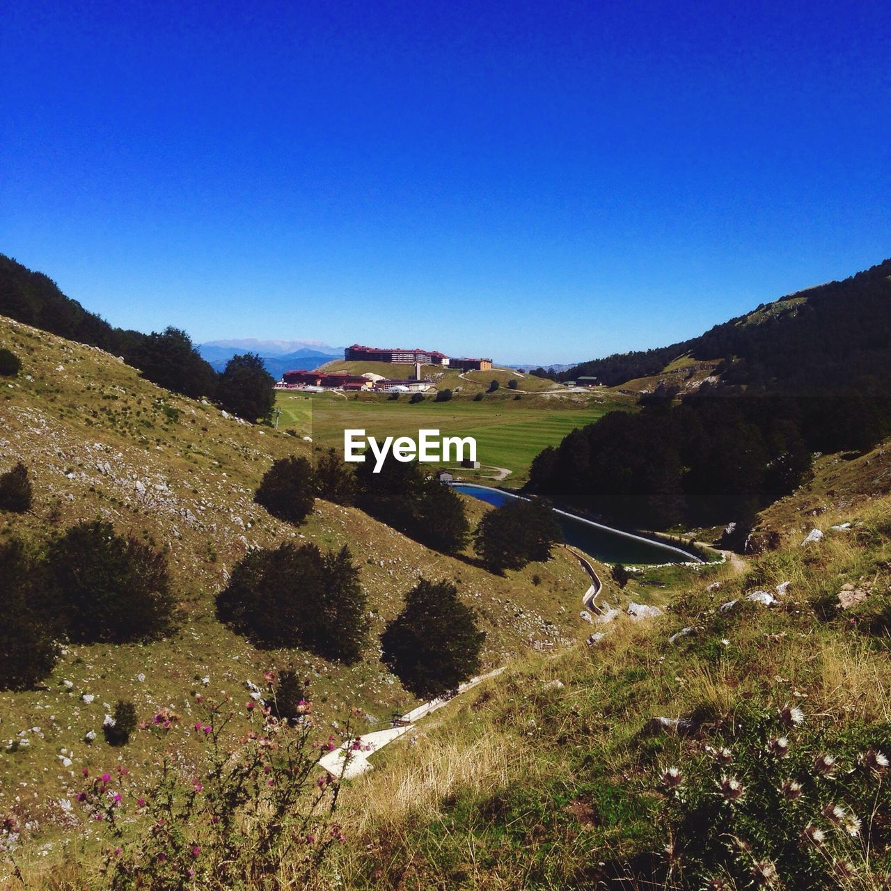 Scenic view of landscape against clear sky