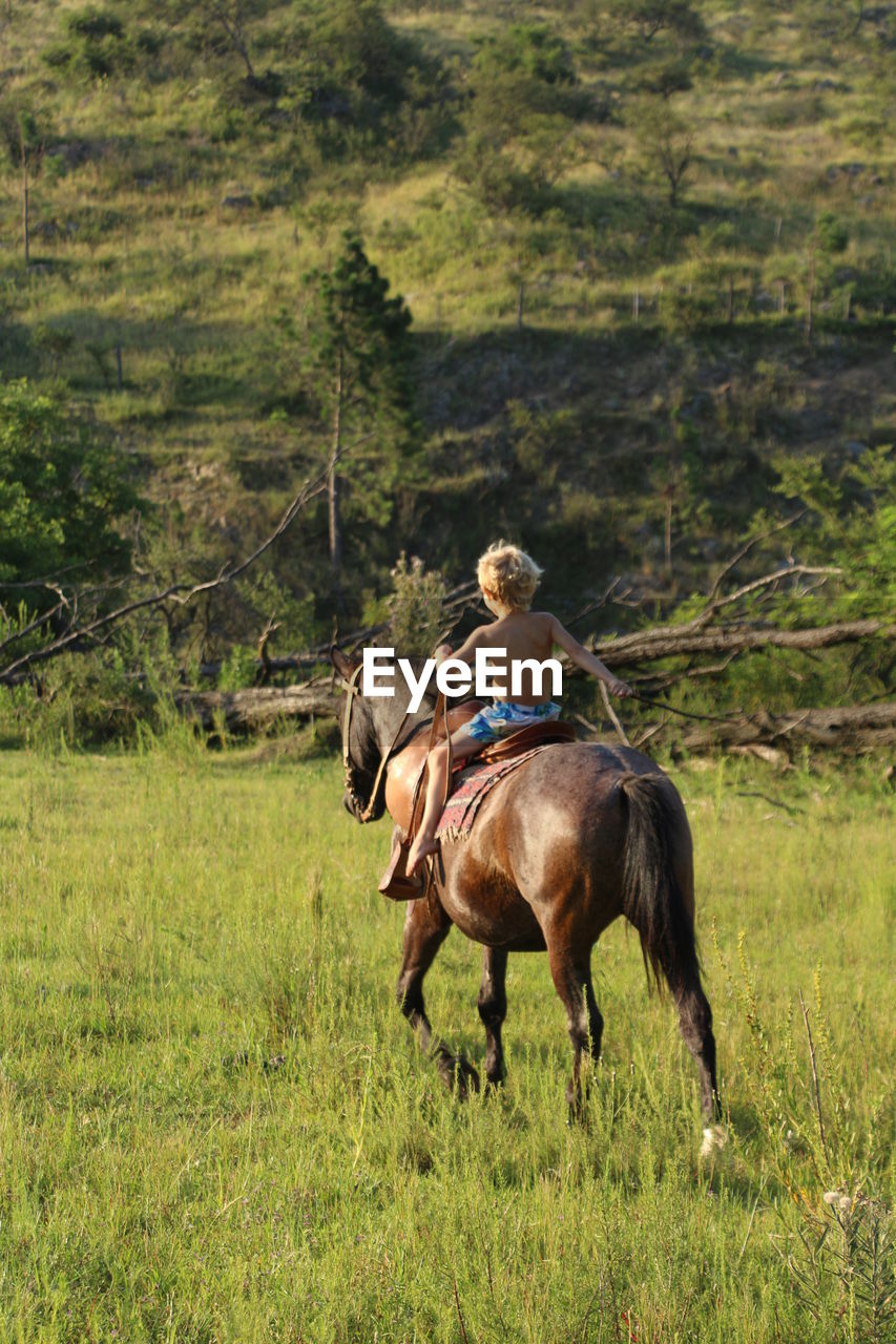 Rear view of shirtless boy riding horse on grassy field