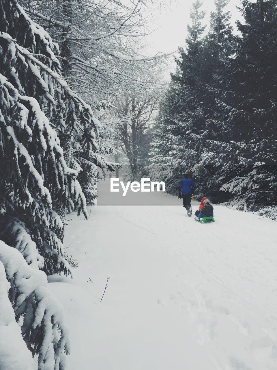 Person riding on sledge in snow