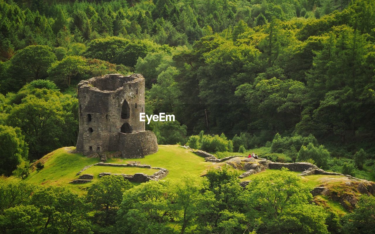 High angle view of dolbadarn castle on hill against trees