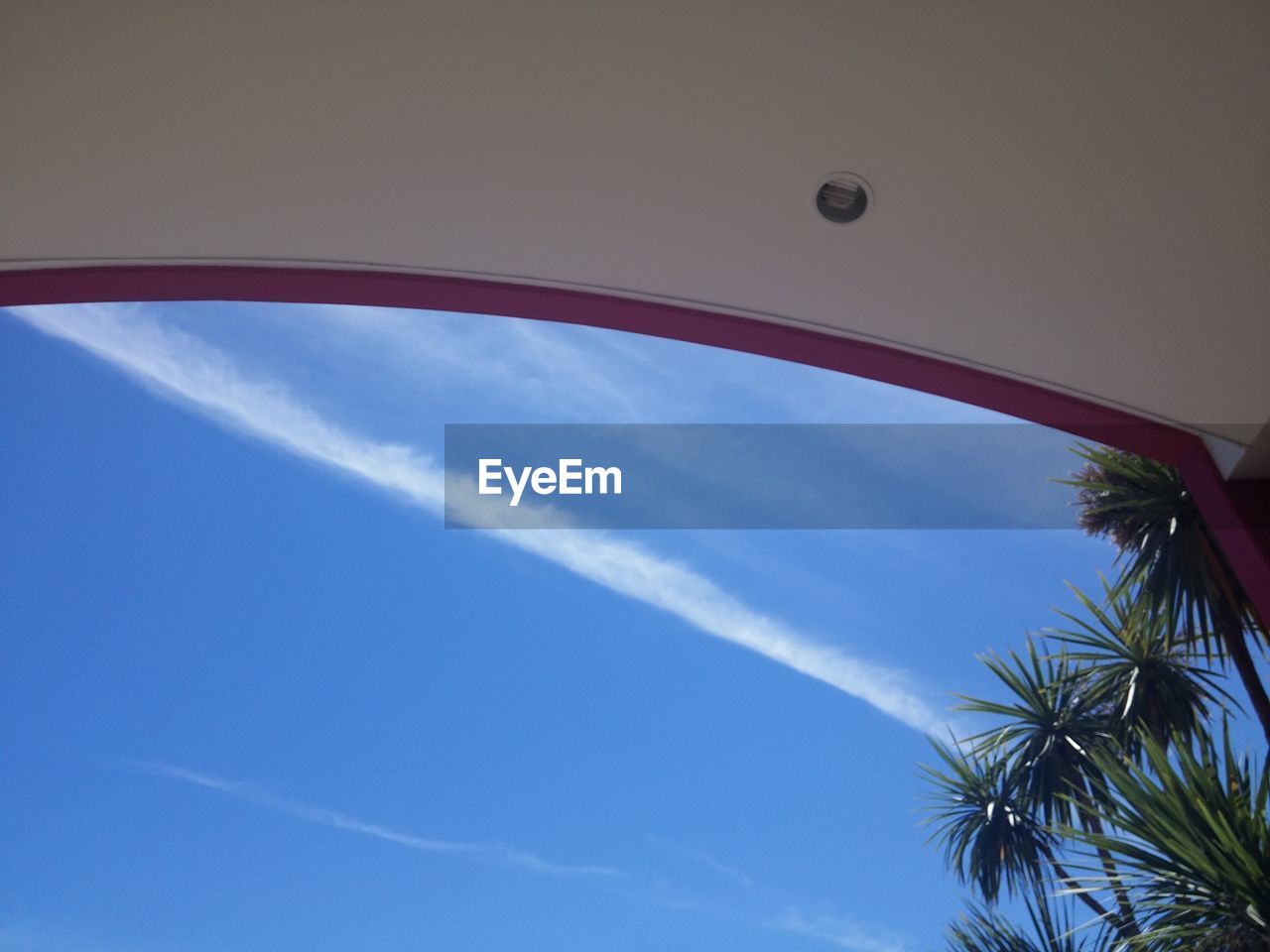 LOW ANGLE VIEW OF PALM TREE AGAINST SKY