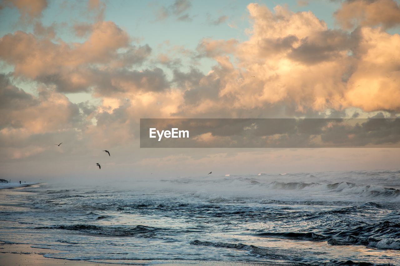 Scenic view of birds flying over sea against sky during sunset