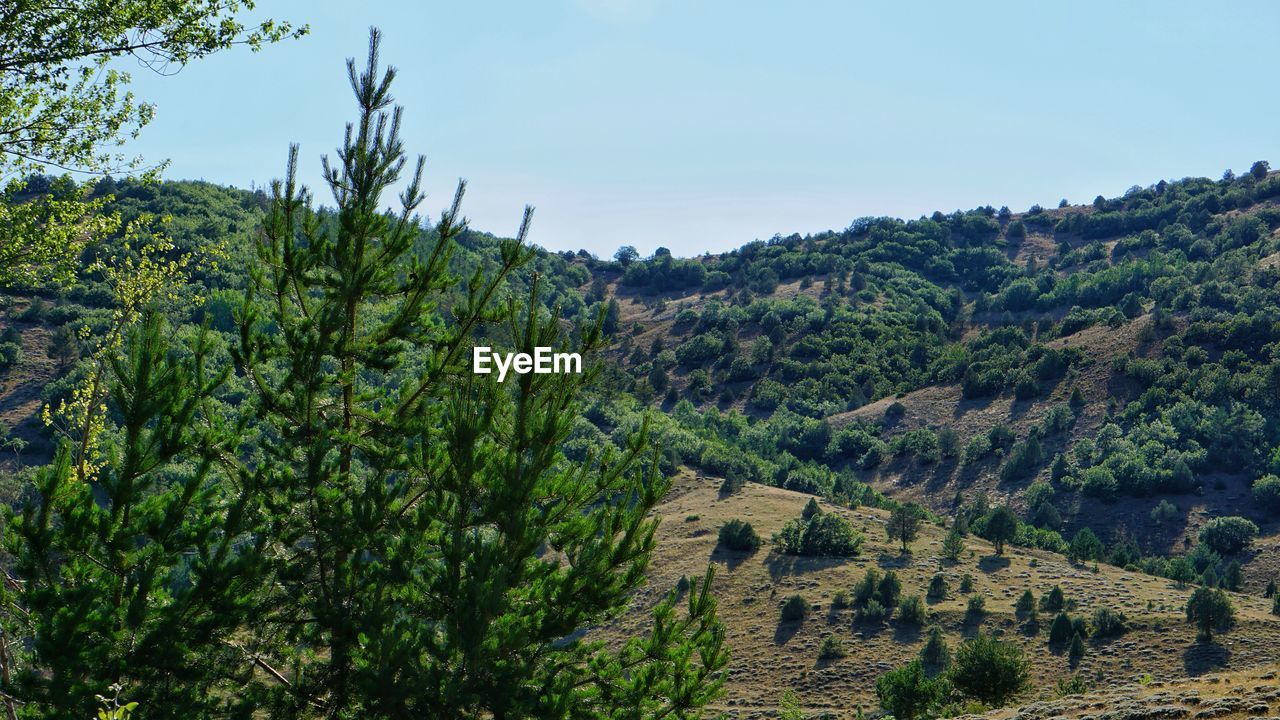 SCENIC VIEW OF LAND AGAINST SKY