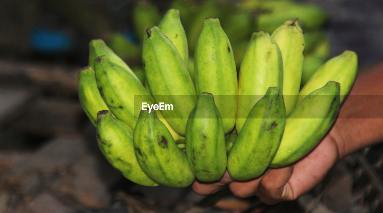 Heap of green banana.banana market. hand holding green banana for selling.