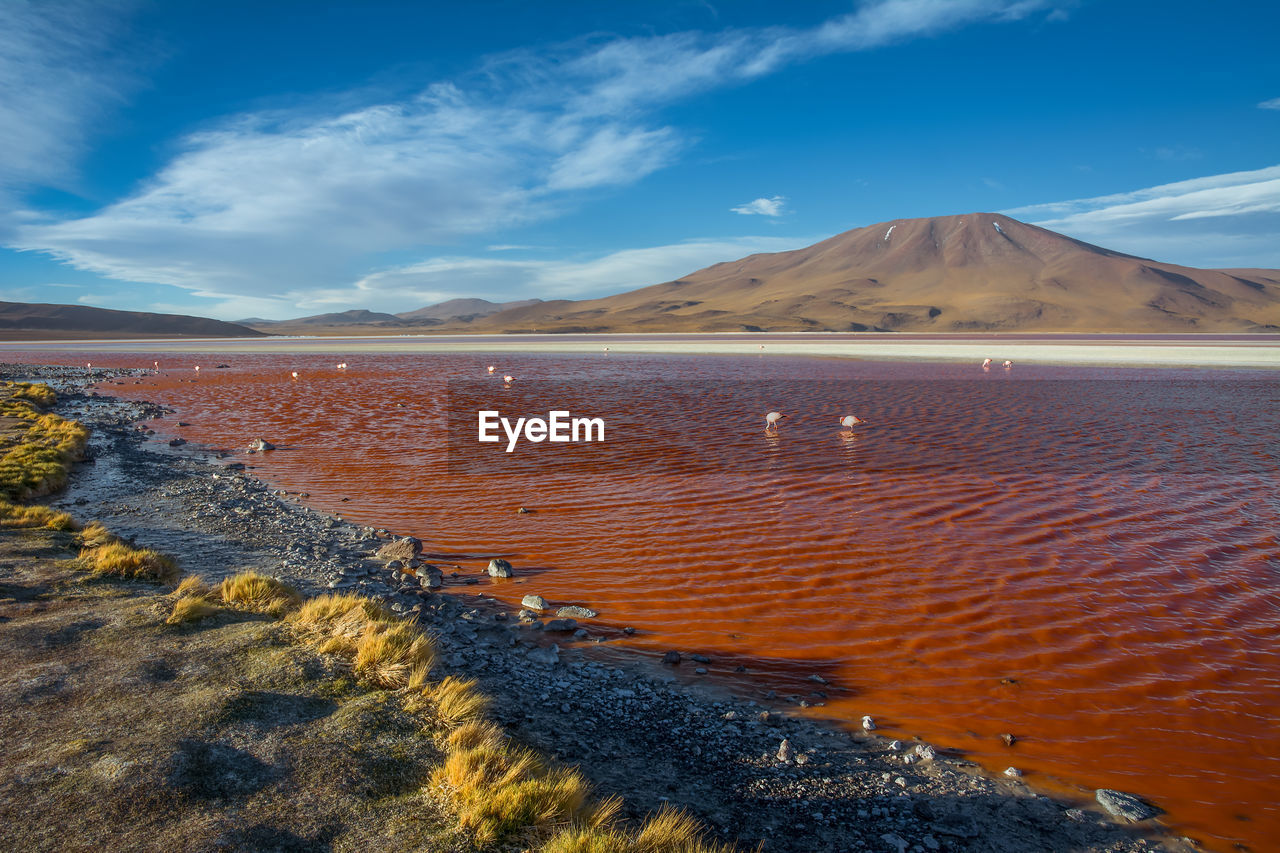 The landscapes from uyuni salt desert, bolivia