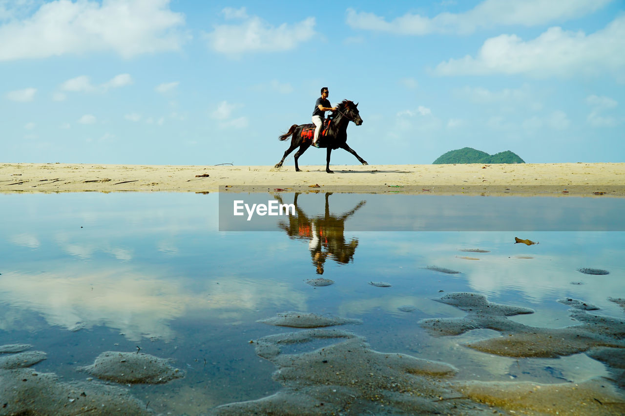 Man riding horse at beach against sky