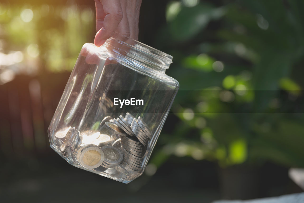 Cropped hand holding jar of coins against plants