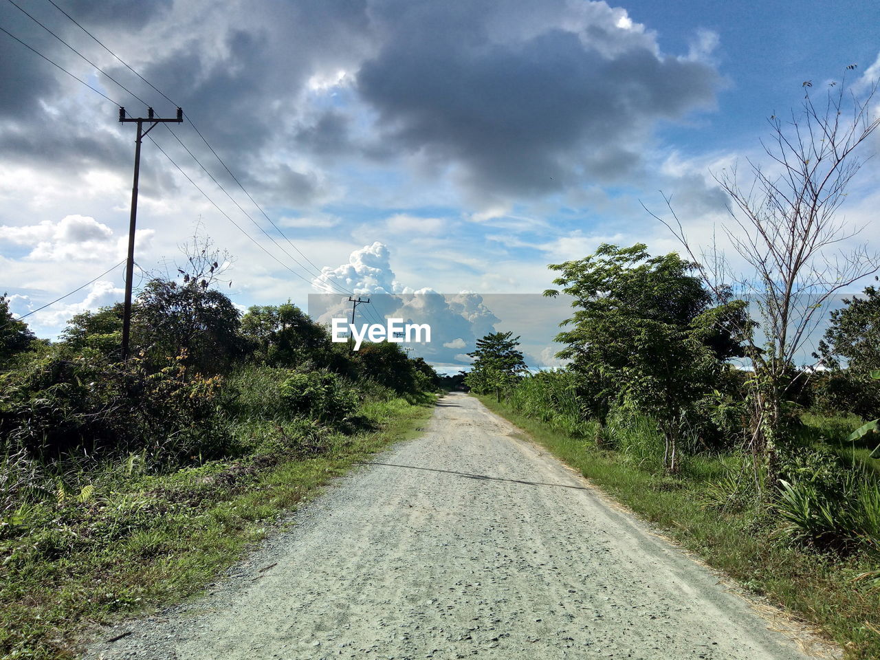 Road amidst trees against sky in the village