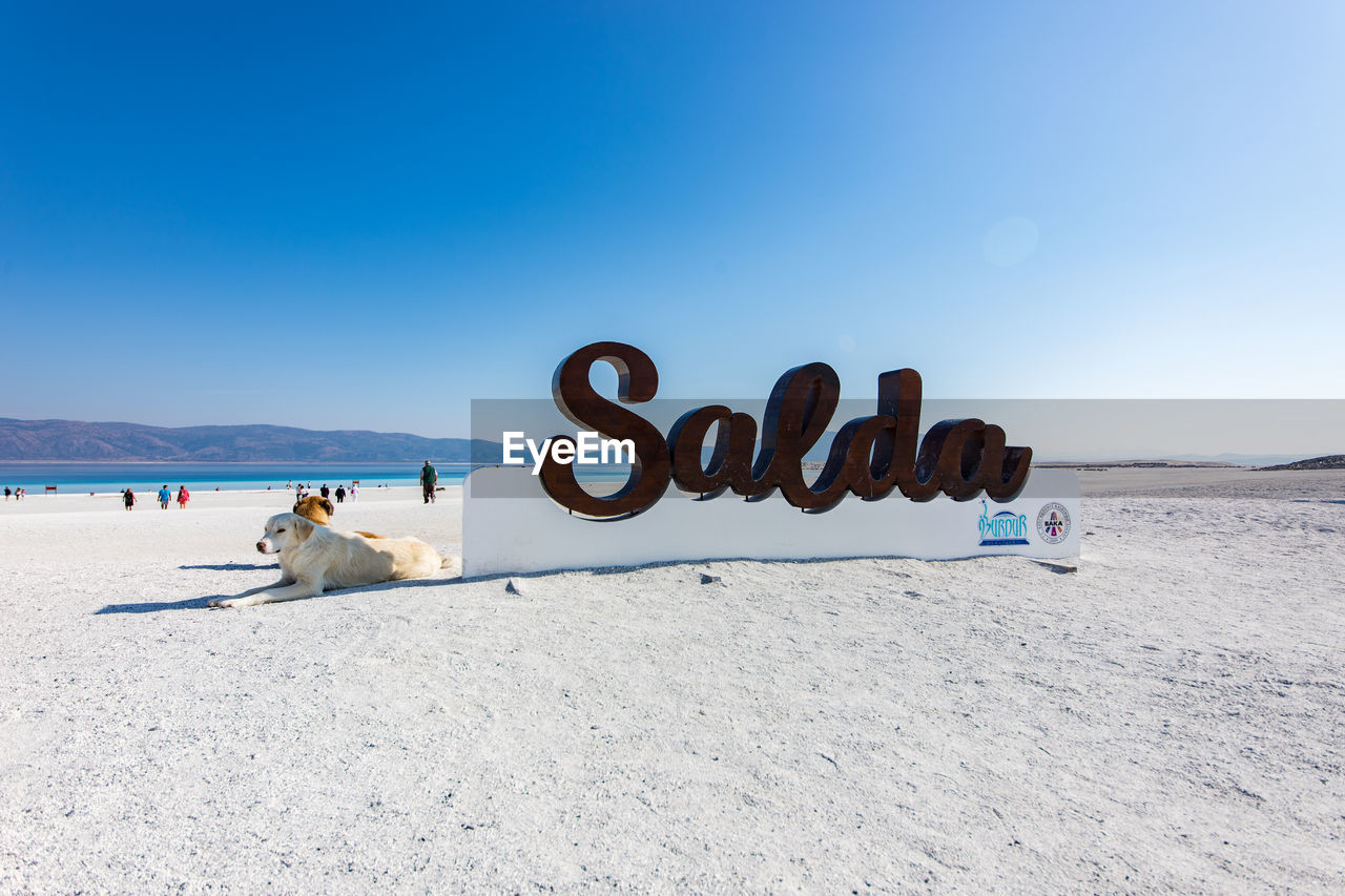 TEXT ON SAND AT BEACH AGAINST CLEAR SKY