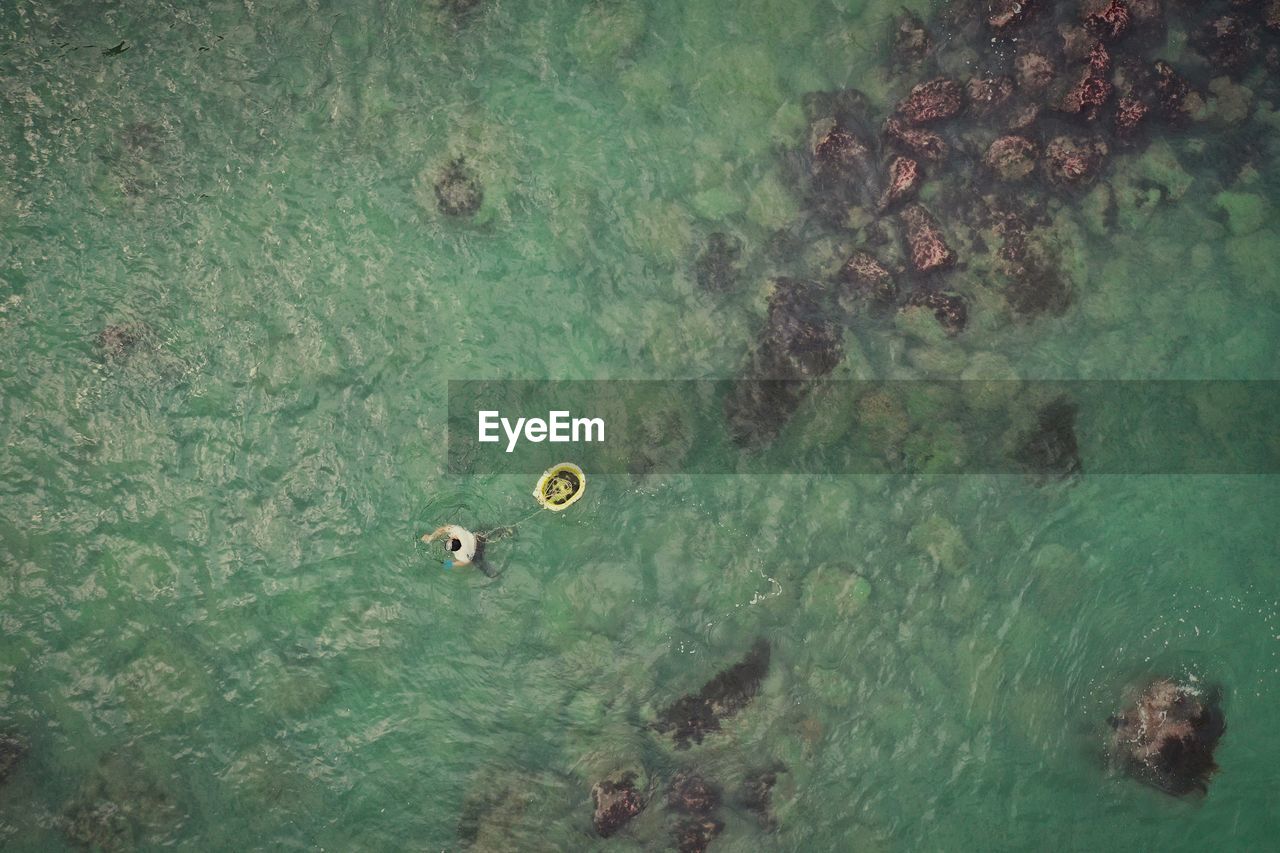 HIGH ANGLE VIEW OF FISHES IN SEA