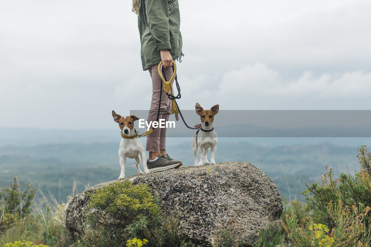 Woman walking with her two dogs