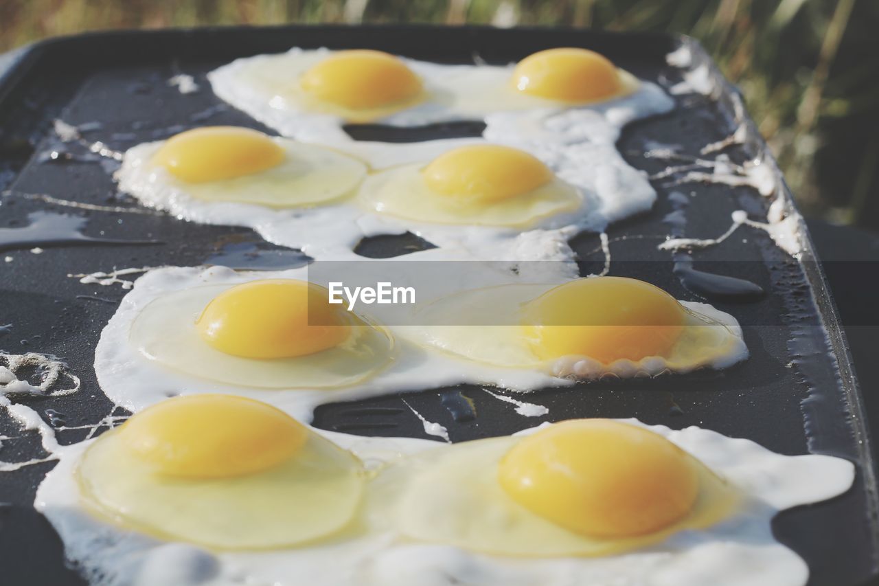 CLOSE-UP OF FRESH BREAKFAST