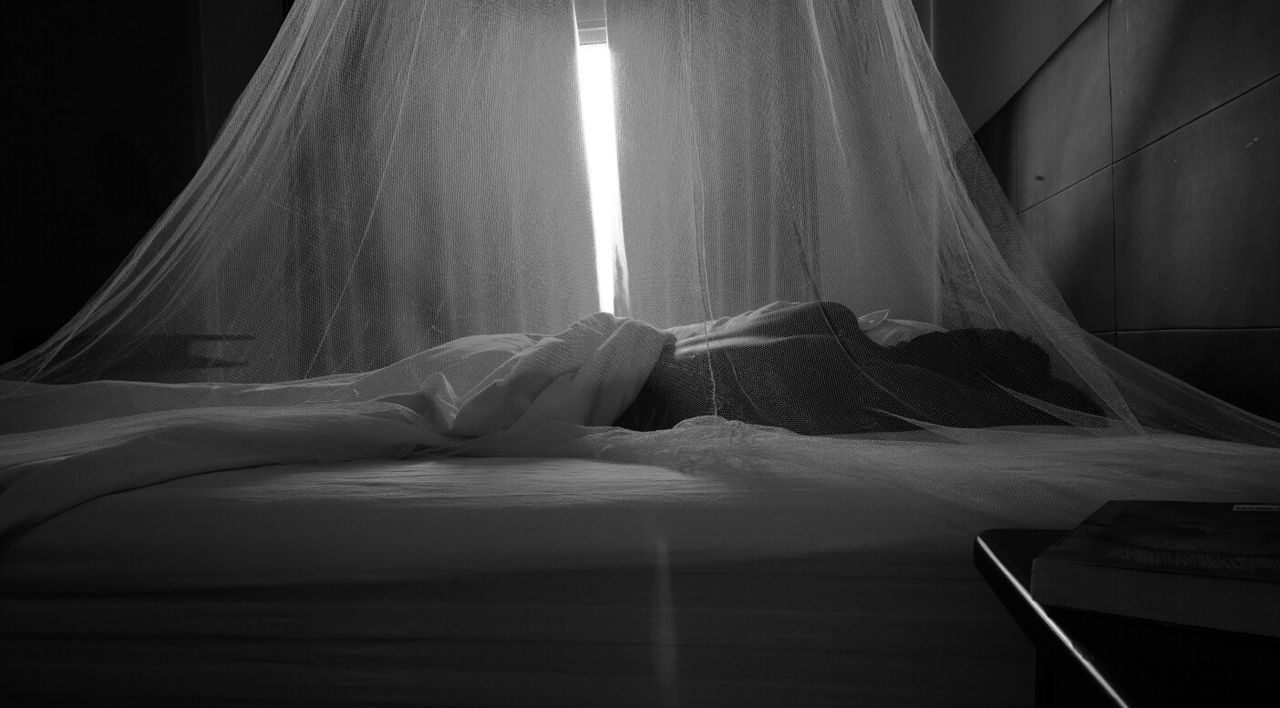 Person sleeping under mosquito net