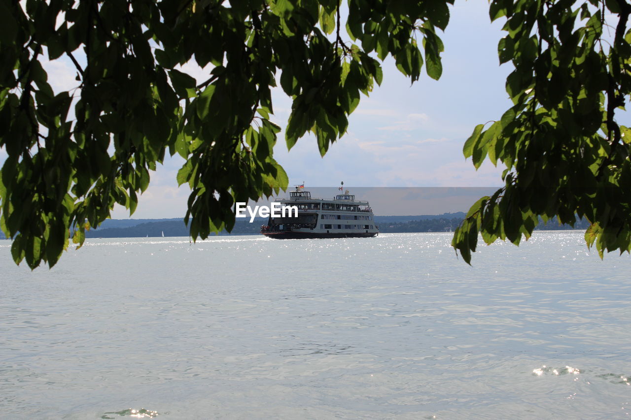 Leaves against ferry sailing on bodensee lake