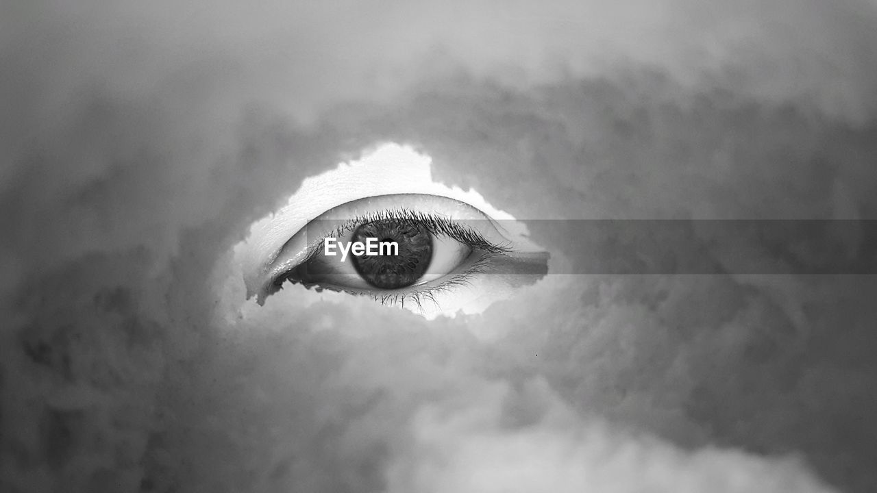 Close-up of teenage girl peeking through bread