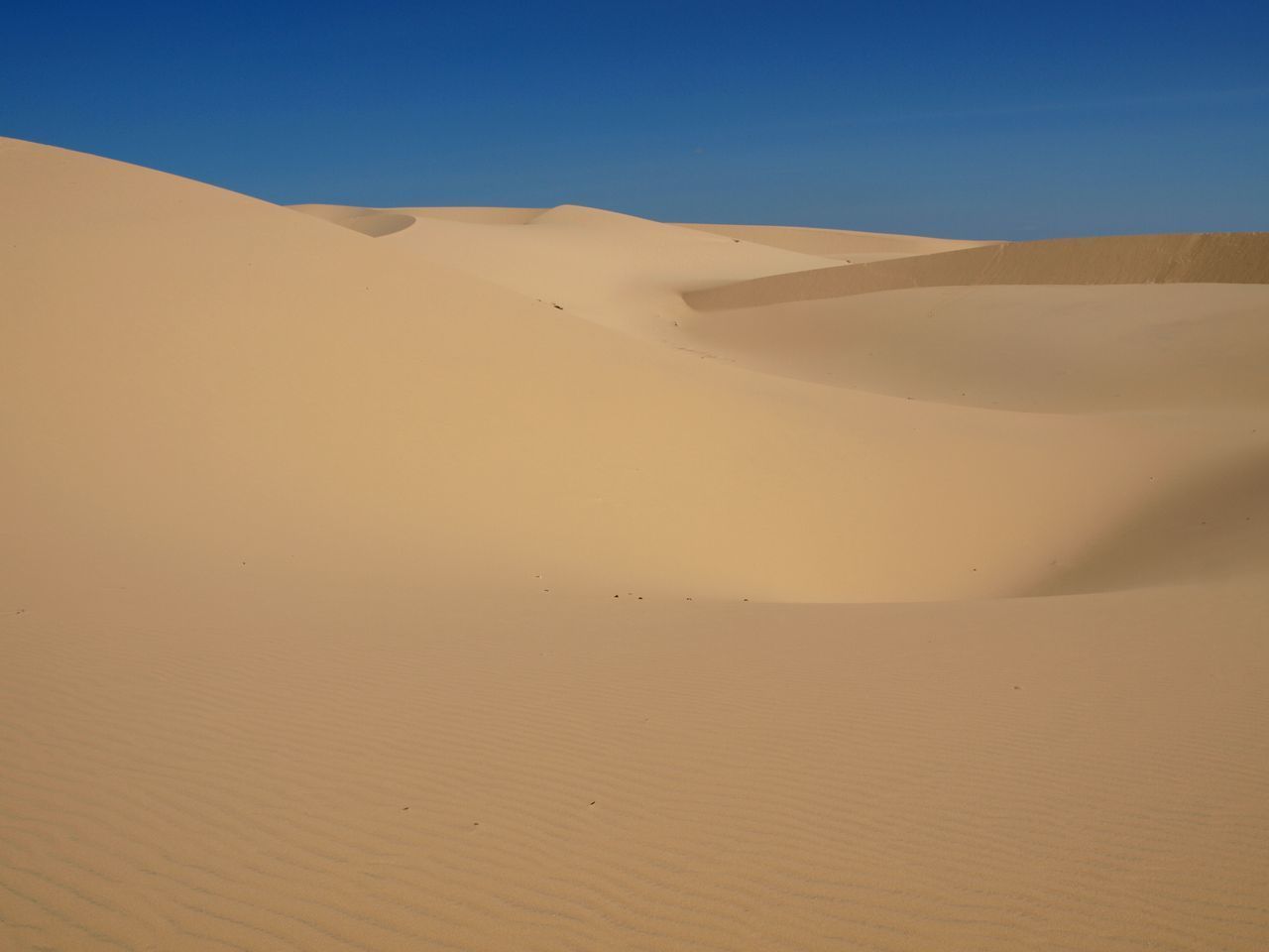 Sand dunes in desert