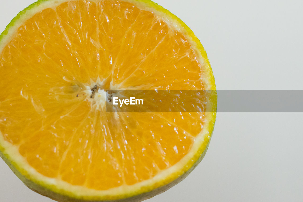 CLOSE-UP OF ORANGE FRUIT