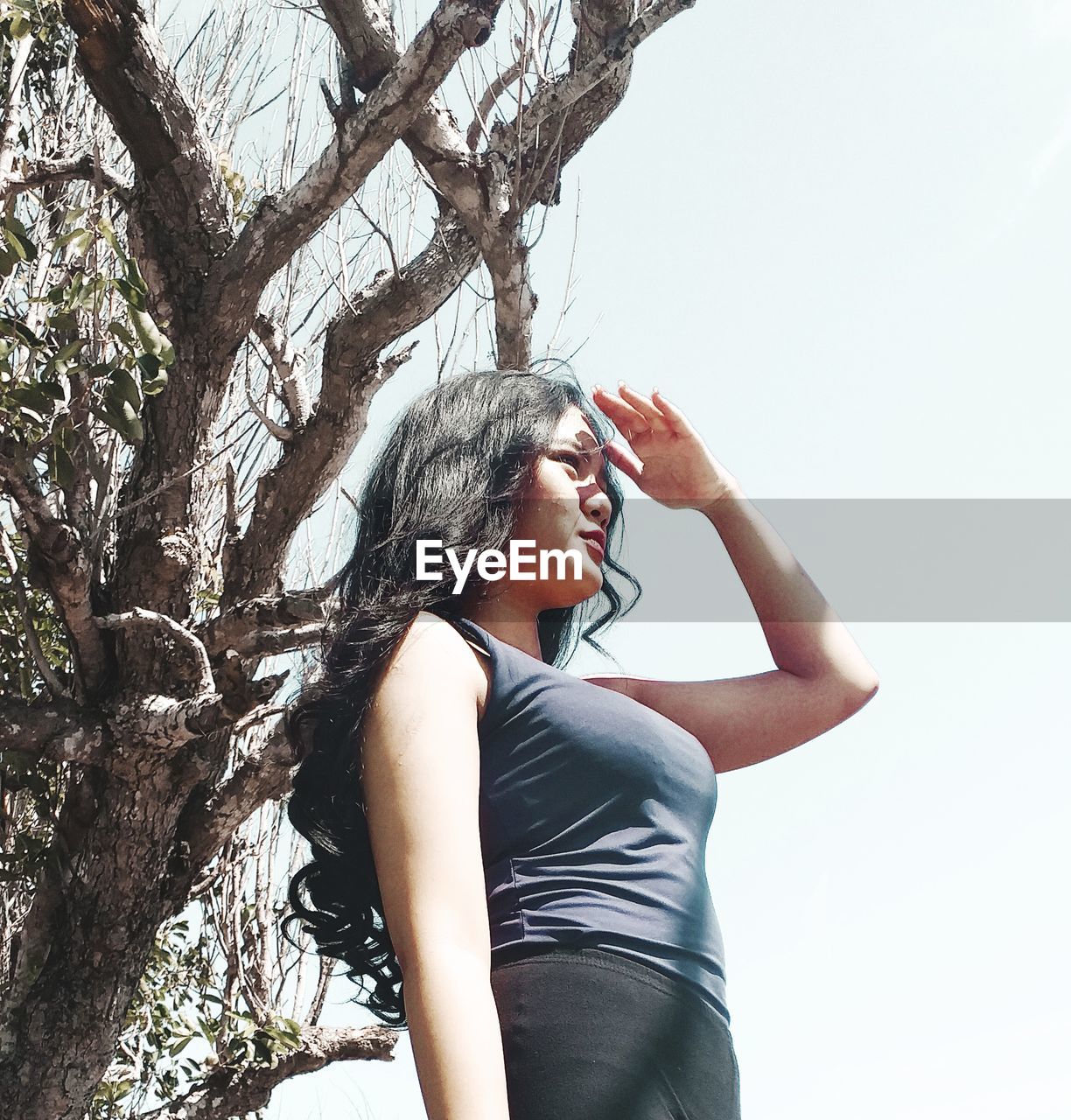 Low angle view of girl looking away while shielding eyes against tree trunk and sky