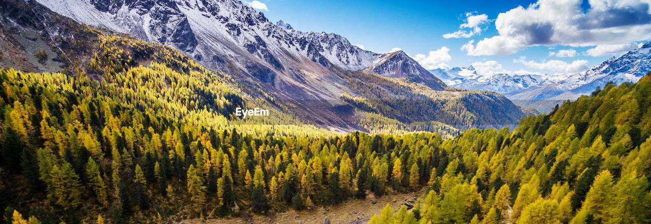 PANORAMIC VIEW OF LANDSCAPE AGAINST MOUNTAINS