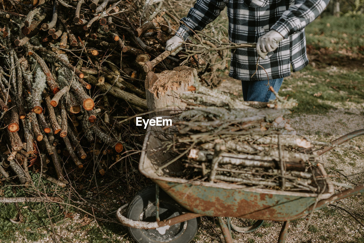 Low section of man preparing firewood