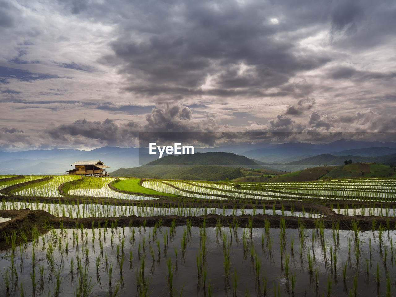 landscape, environment, cloud, sky, agriculture, rural scene, nature, scenics - nature, land, water, field, morning, plant, crop, farm, mountain, beauty in nature, rice paddy, reflection, rice, horizon, rural area, food and drink, paddy field, no people, environmental conservation, travel, tranquility, grass, food, social issues, lake, outdoors, rice - food staple, growth, mountain range, occupation, green, plain, cereal plant, tranquil scene, dramatic sky, valley, overcast, sunlight, twilight, freshness, travel destinations, flower, dusk, building, grassland, non-urban scene, tree, sun