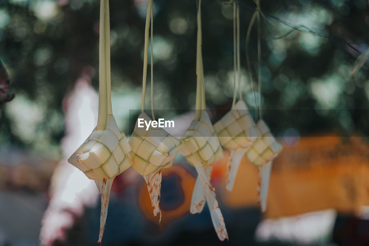 Close-up of ketupat hanging against blurred background